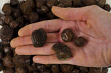 Pointed Garnet Rough Stones from India
