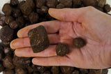 Pointed Garnet Rough Stones from India