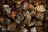 Petrified Wood Mine Run Rough - Madagascar