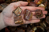Petrified Wood Mine Run Rough - Madagascar