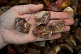 Petrified Wood Mine Run Rough - Madagascar