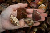 Petrified Wood Mine Run Rough - Madagascar
