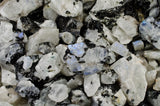 Rainbow Moonstone Rough - Top Grade