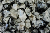Rainbow Moonstone Rough - Top Grade