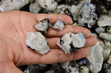 Rainbow Moonstone Rough - Top Grade
