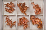 Large Sculptured Copper - Avg 2" to 2.5" - From Michigan
